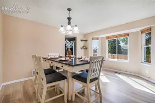 4330 Candytuft Terrace, Colorado Springs, CO 80920 - Photo 6