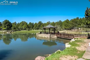 15371 Ridgefield Ln, Colorado Springs, CO 80921 - Photo 50