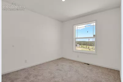 58 Elfin Glen Drive, Divide, CO 80814 - Photo 20