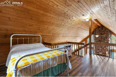 795 S Mountain Estates Road, Florissant, CO 80816 - Photo 22