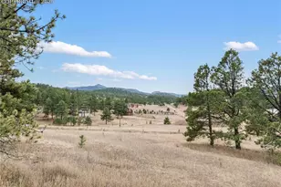 795 S Mountain Estates Rd, Florissant, CO 80816 - Photo 38