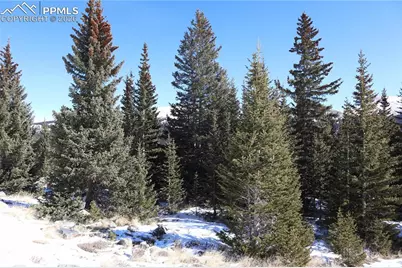 1480 Roberts Road, Fairplay, CO 80440 - Photo 10