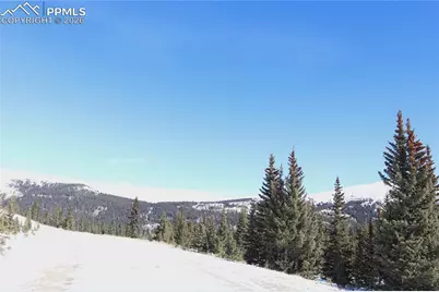 1480 Roberts Road, Fairplay, CO 80440 - Photo 12