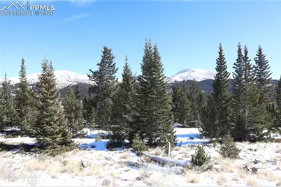 1480 Roberts Road, Fairplay, CO 80440 - Photo 8