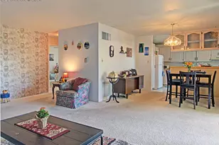 777 Saturn Dr, Colorado Springs, CO 80905 - Photo 6