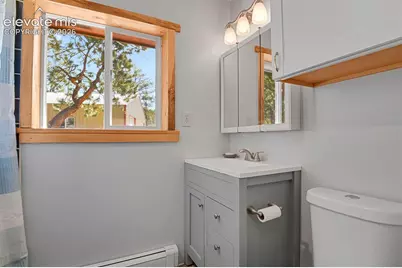 881 Trail Creek Road, Lake George, CO 80827 - Photo 20