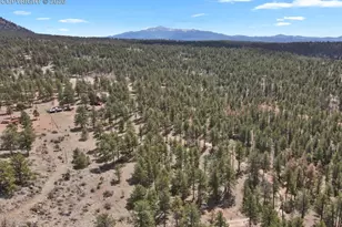 881 Trail Creek Rd, Lake George, CO 80827 - Photo 38