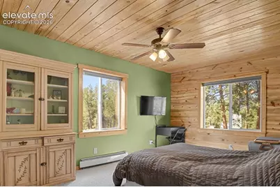 881 Trail Creek Road, Lake George, CO 80827 - Photo 16