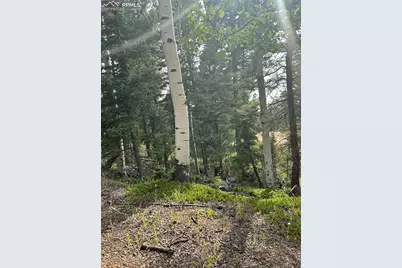 127 Rampart Circle, Florissant, CO 80816 - Photo 6
