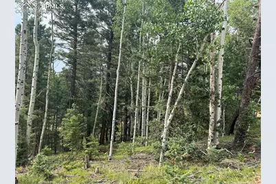 127 Rampart Circle, Florissant, CO 80816 - Photo 8