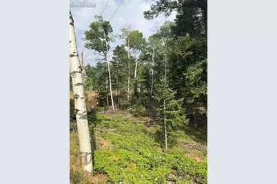 127 Rampart Circle, Florissant, CO 80816 - Photo 4