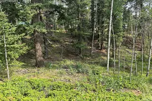 127 Rampart Cir, Florissant, CO 80816 - Photo 1