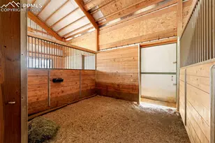 224 Lakeview Frst Hts, Florissant, CO 80816 - Photo 20