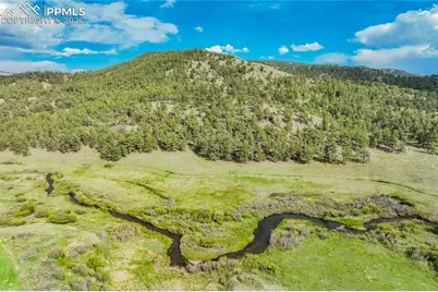 224 Lakeview Forest Heights, Florissant, CO 80816 - Photo 38