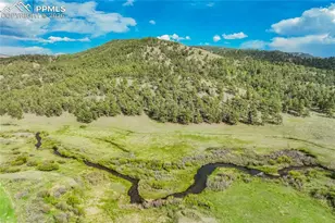 224 Lakeview Frst Hts, Florissant, CO 80816 - Photo 38