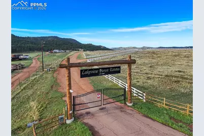 224 Lakeview Forest Heights, Florissant, CO 80816 - Photo 46