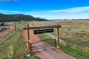 224 Lakeview Frst Hts, Florissant, CO 80816 - Photo 46