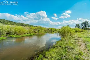 224 Lakeview Frst Hts, Florissant, CO 80816 - Photo 6