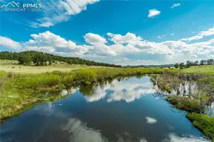 224 Lakeview Frst Hts, Florissant, CO 80816 - Photo 4