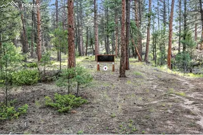 1721 Wildhorn Road, Florissant, CO 80816 - Photo 46