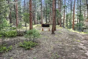 1721 Wildhorn Rd, Florissant, CO 80816 - Photo 46