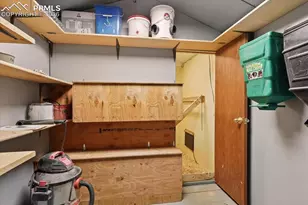 1721 Wildhorn Rd, Florissant, CO 80816 - Photo 44