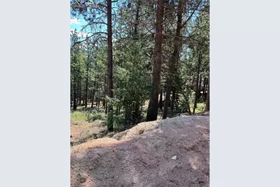 193 Summer Haven Drive, Woodland Park, CO 80863 - Photo 2