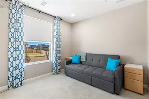 2704 Gobi Dr, Colorado Springs, CO 80939 - Photo 20