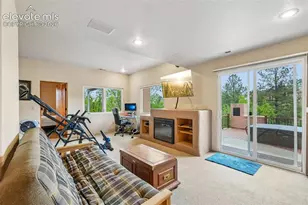 706 Orion Star View, Colorado Springs, CO 80906 - Photo 38
