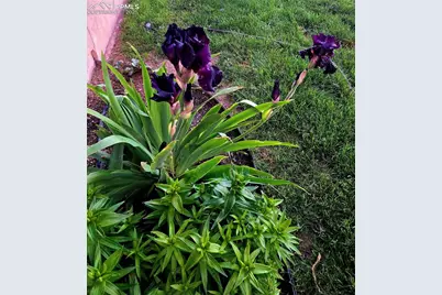 1628 R Street, Penrose, CO 81240 - Photo 38