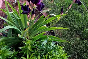 1628 R St, Penrose, CO 81240 - Photo 38