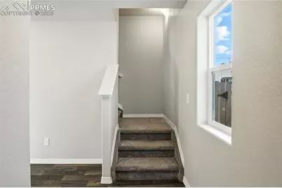 7972 Jayla Trail, Colorado Springs, CO 80908 - Photo 4