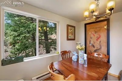 501 Wakanda Trail, Woodland Park, CO 80863 - Photo 10