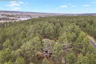 17520 Shiloh Pines Dr, Monument, CO 80132 - Photo 38