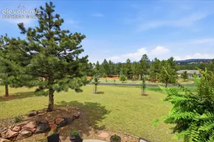 220 Eagle Pines Dr, Woodland Park, CO 80863 - Photo 48