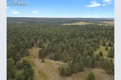 10437 Alamar Way, Colorado Springs, CO 80908 - Photo 4