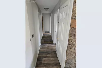 875 Obsidian Drive, Florissant, CO 80816 - Photo 12