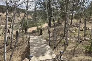 875 Obsidian Dr, Florissant, CO 80816 - Photo 6