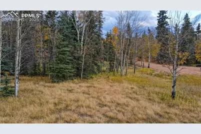 166 Denwood Drive, Florissant, CO 80816 - Photo 6