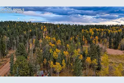 166 Denwood Drive, Florissant, CO 80816 - Photo 16