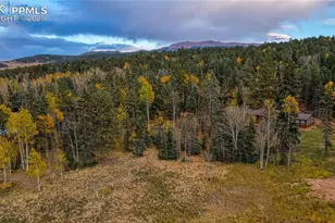 166 Denwood Dr, Florissant, CO 80816 - Photo 1