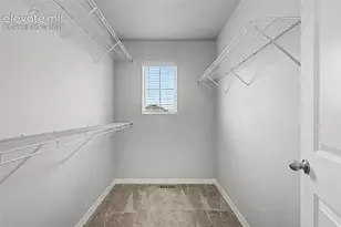 4591 Gneiss Loop, Colorado Springs, CO 80938 - Photo 20