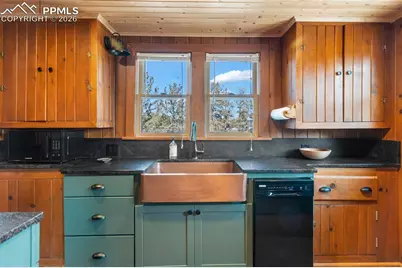 45 Conductor Lane, Lake George, CO 80827 - Photo 16