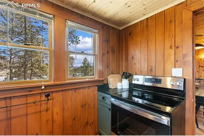 45 Conductor Lane, Lake George, CO 80827 - Photo 18