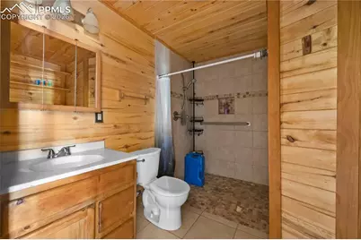 927 Stonehenge Drive, Florissant, CO 80816 - Photo 20