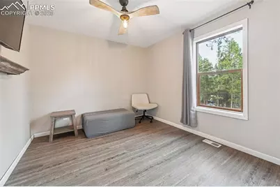 31 Wallace Drive, Florissant, CO 80816 - Photo 26