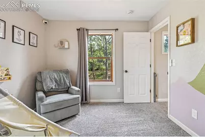 31 Wallace Drive, Florissant, CO 80816 - Photo 24