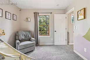 31 Wallace Dr, Florissant, CO 80816 - Photo 24