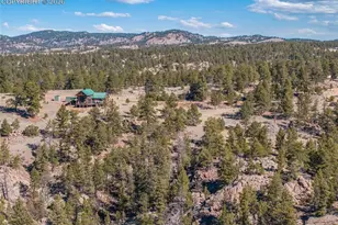 558 Hawk Ln, Florissant, CO 80816 - Photo 6