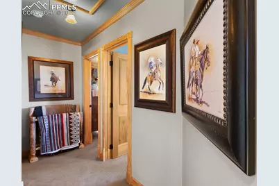 558 Hawk Lane, Florissant, CO 80816 - Photo 34